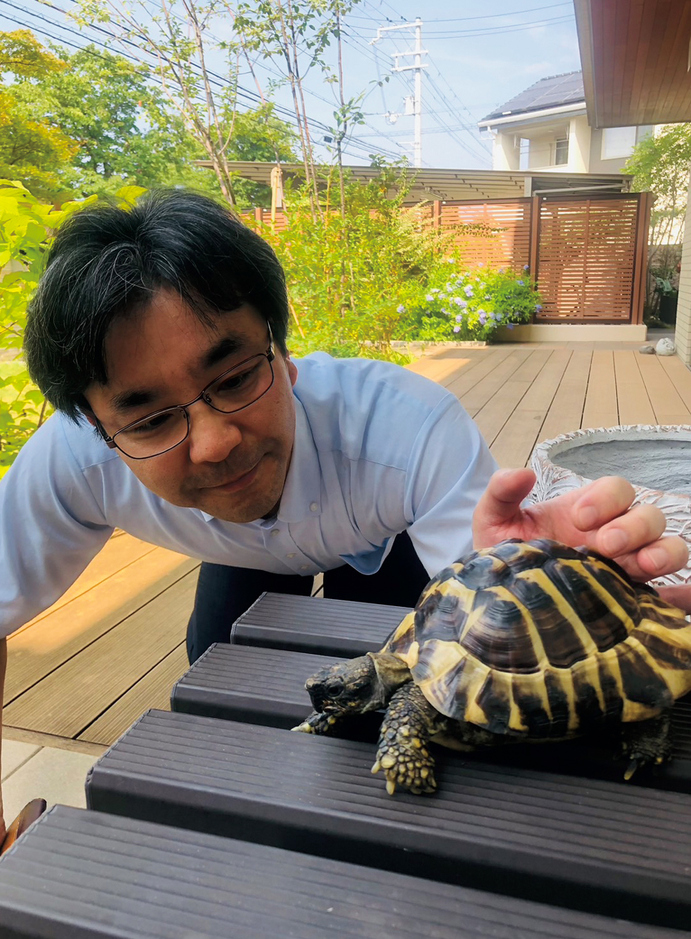 特定非営利活動法人 どうぶつ弁護団 ANIMAL DEFENSE TEAM